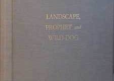 landscapeII
