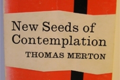 newseedscontemplation