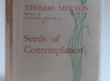 seeds_hollis_carter