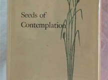 seedsofcontemplation