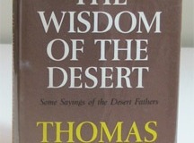 wisdom_desert